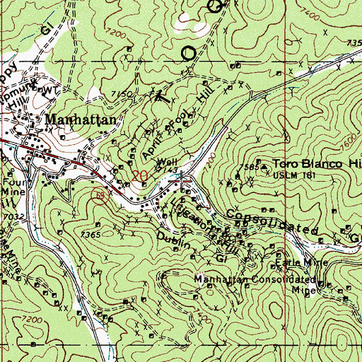 Topographic Map of Consolidated Gulch, NV