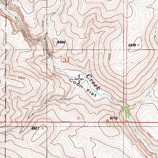 Topographic Map of Coon Flat, NV