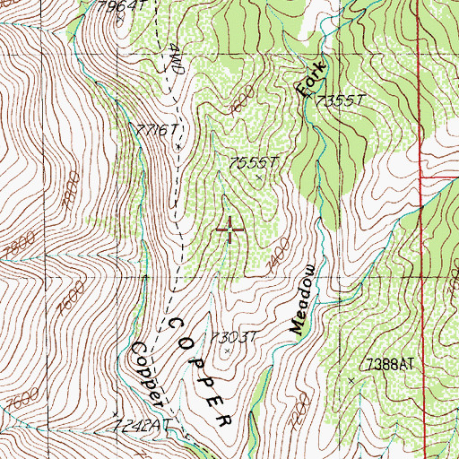 Topographic Map of Copper Basin, NV