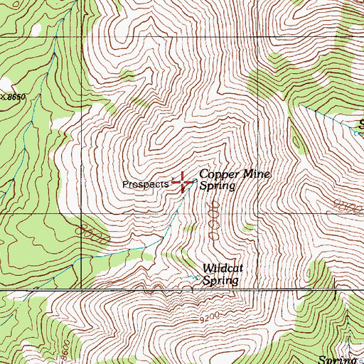 Topographic Map of Copper Mine Spring, NV