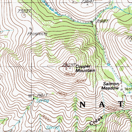 Topographic Map of Copper Mountain, NV