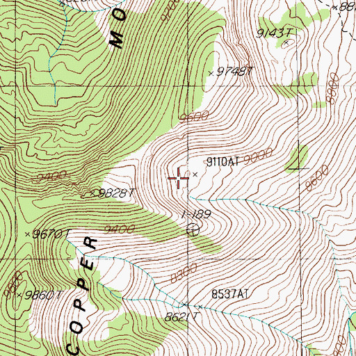 Topographic Map of Copper Mountains, NV