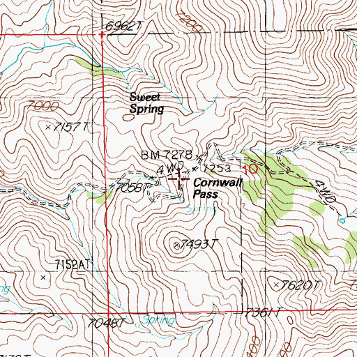 Topographic Map of Cornwall Pass, NV