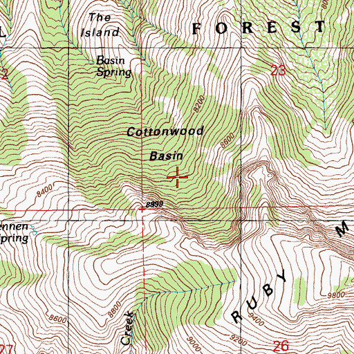 Topographic Map of Cottonwood Basin, NV