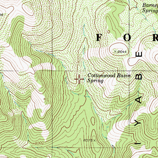 Topographic Map of Cottonwood Basin Spring, NV