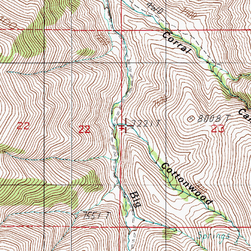 Topographic Map of Cottonwood Canyon, NV