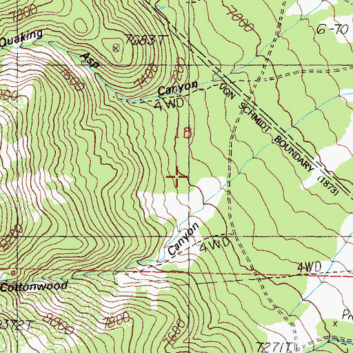 Topographic Map of Cottonwood Canyon, NV