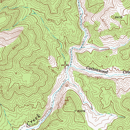 Topographic Map of Cottonwood Creek, NV