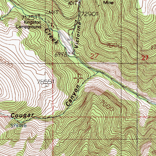Topographic Map of Cougar Canyon, NV