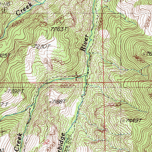 Topographic Map of Cougar Creek, NV