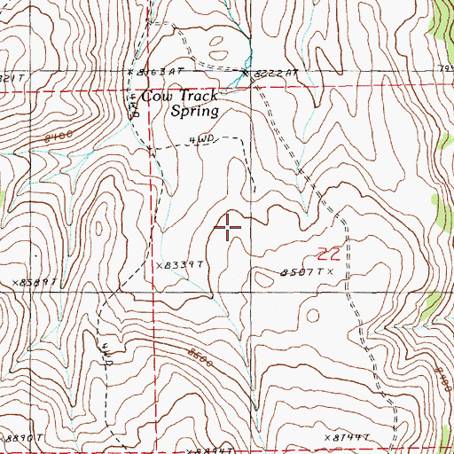 Topographic Map of Cow Track Spring, NV