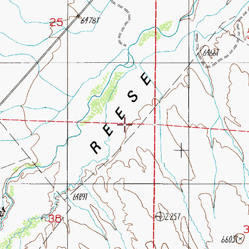 Topographic Map of Crane Canyon, NV