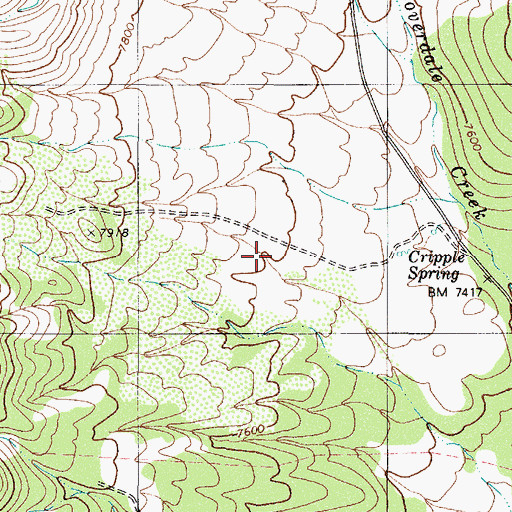 Topographic Map of Cripple Spring, NV