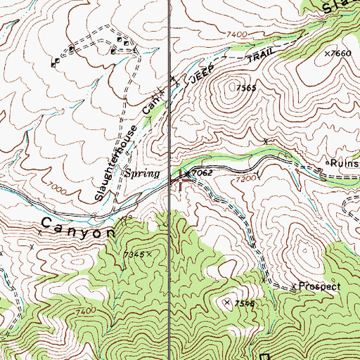 Topographic Map of Davenport Canyon, NV