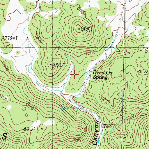 Topographic Map of Dead Ox Spring, NV