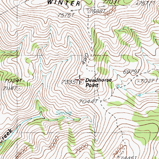 Topographic Map of Deadhorse Point, NV