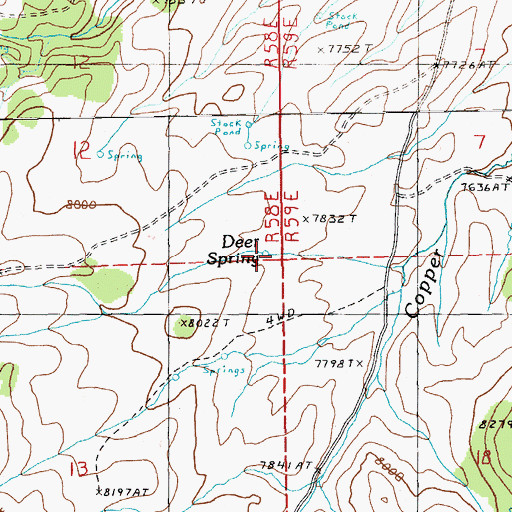 Topographic Map of Deer Spring, NV