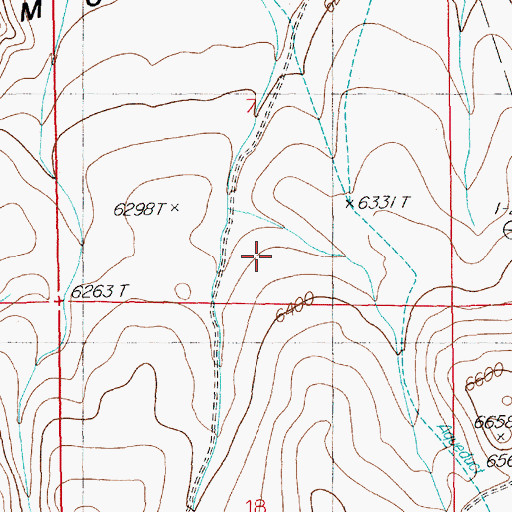 Topographic Map of Diamond A Desert, NV