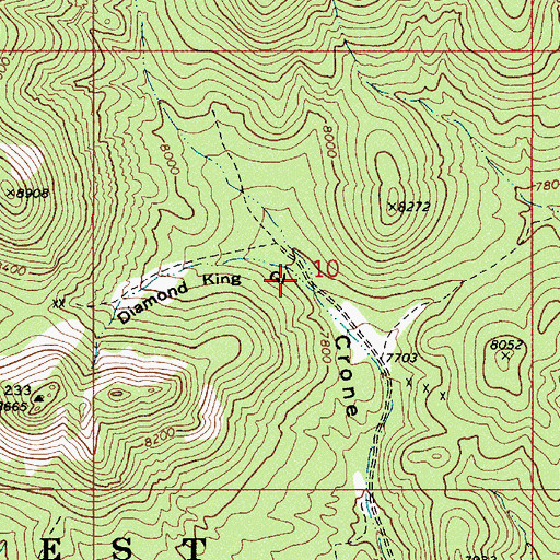 Topographic Map of Diamond King Gulch, NV