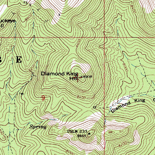 Topographic Map of Diamond King Hill, NV