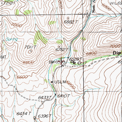 Topographic Map of Dip Creek, NV