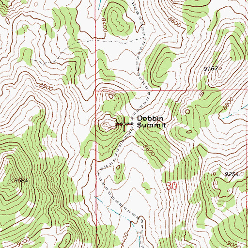 Topographic Map of Dobbin Summit, NV