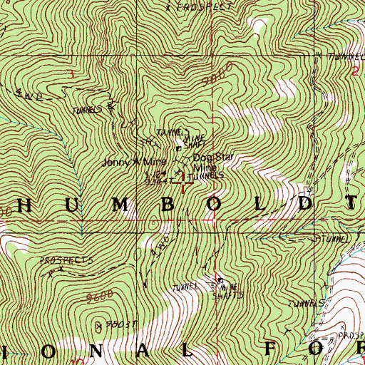 Topographic Map of Dog Star Mine, NV