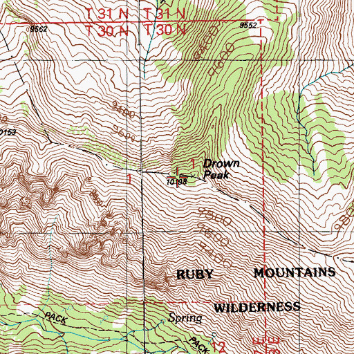 Topographic Map of Drown Peak, NV