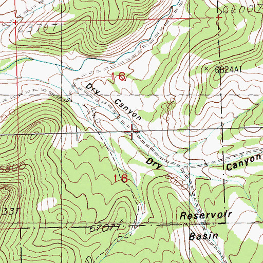 Topographic Map of Dry Canyon, NV