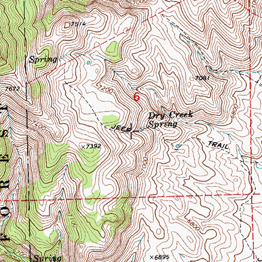Topographic Map of Dry Creek Spring, NV
