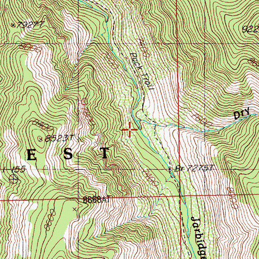 Topographic Map of Dry Gulch, NV