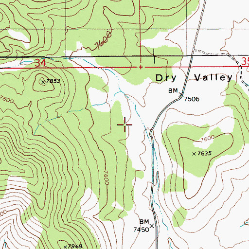 Topographic Map of Dry Valley, NV