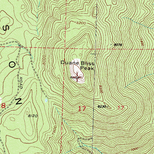 Topographic Map of Duane Bliss Peak, NV