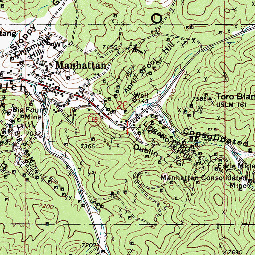 Topographic Map of Dublin Gulch, NV
