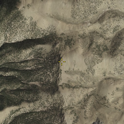 Aerial/Satellite Image of Duck Creek Range, NV