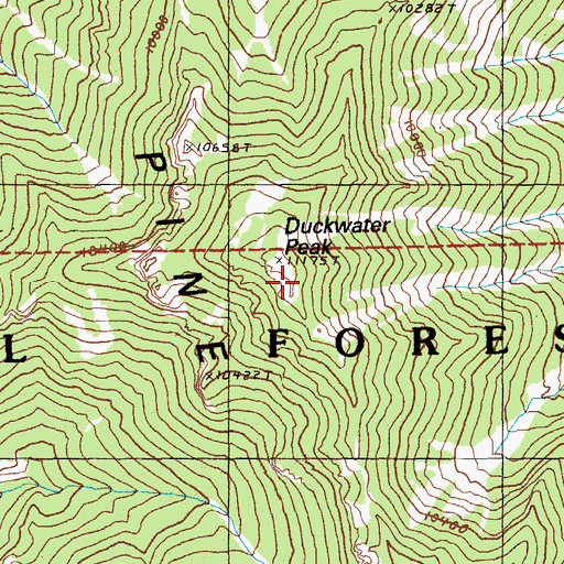 Topographic Map of Duckwater Peak, NV