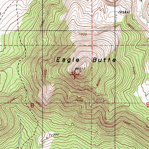Topographic Map of Eagle Butte, NV