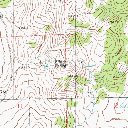 Topographic Map of Ellison Spring, NV