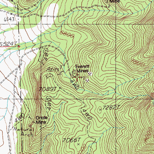 Topographic Map of Everett Mines, NV