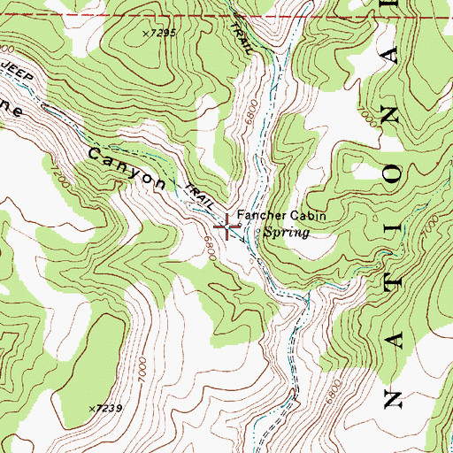 Topographic Map of Fancher Cabin, NV
