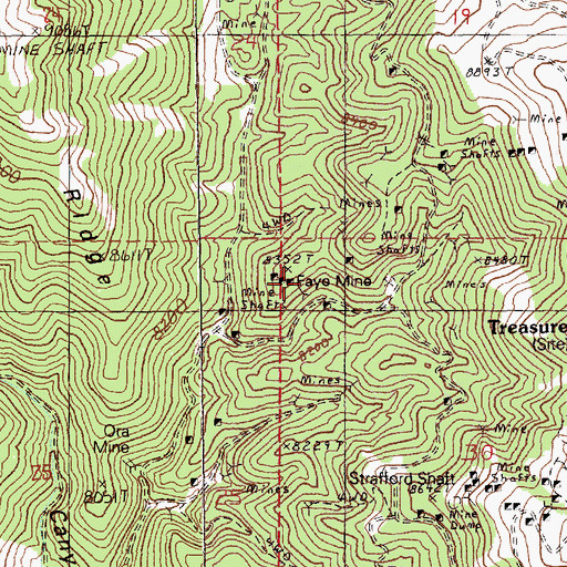Topographic Map of Fay Mine, NV