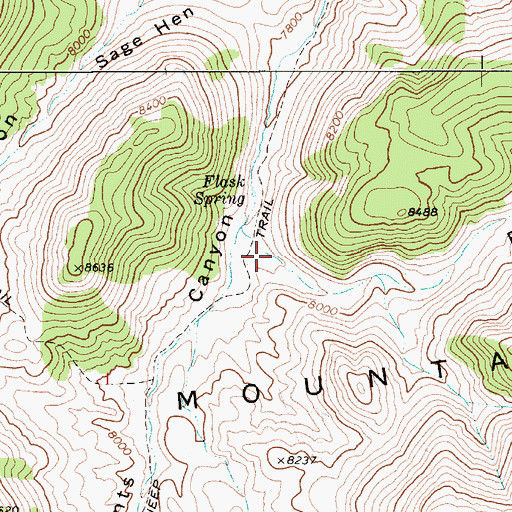 Topographic Map of Flask Canyon, NV