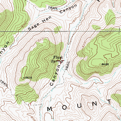 Topographic Map of Flask Spring, NV