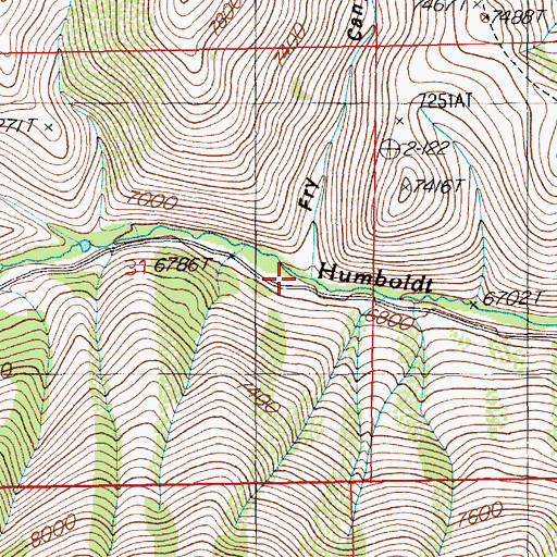 Topographic Map of Fry Canyon, NV