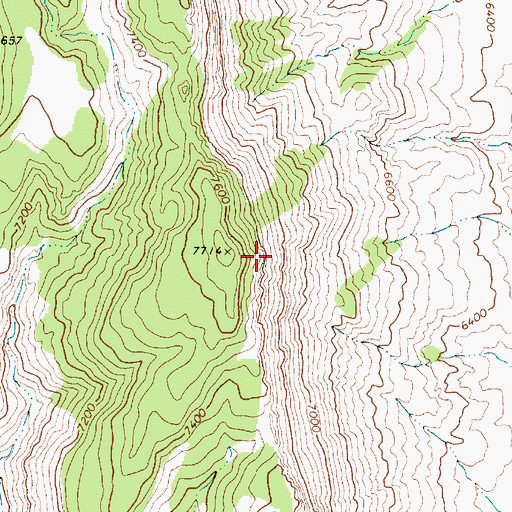 Topographic Map of Georges Canyon Rim, NV