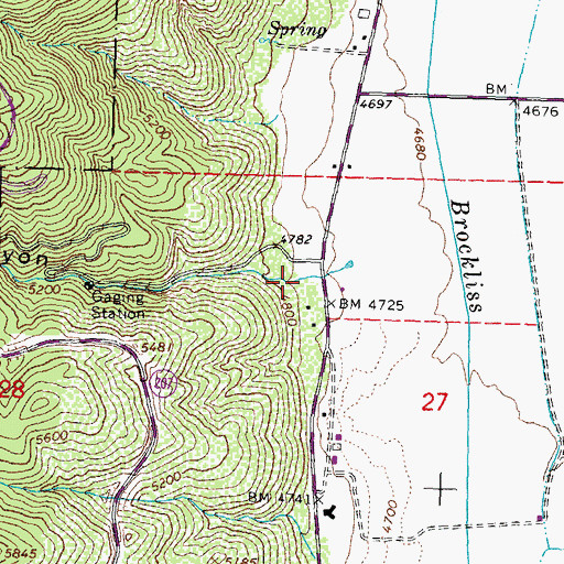 Topographic Map of Haines Canyon, NV