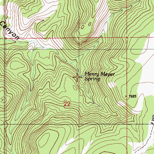 Topographic Map of Henry Meyer Spring, NV