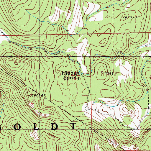 Topographic Map of Hidden Spring, NV