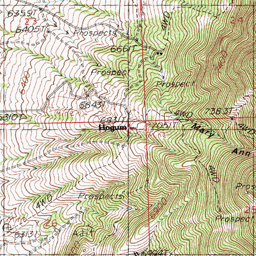 Topographic Map of Hogum, NV