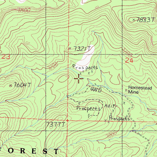 Topographic Map of Homestead Mine, NV